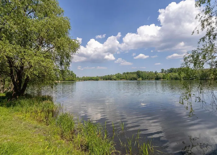 Apartment Luxury Two Bedroom With Terrace And Garage By Renters Prestige